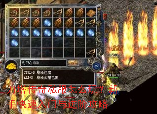 ��������˽����ô�棿���ֿ�����������׹���