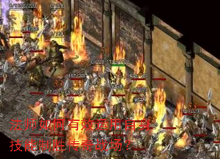 ��ʦ�����Ч��������������ʤ����ս����