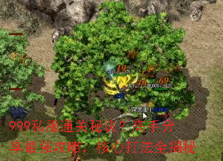 999私服通关秘诀?高手分享最强攻略,核心打法全揭秘 999私服通关秘诀?高手分享最强攻略,核心打法全揭秘