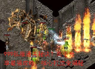 999私服通关秘诀?高手分享最强攻略,核心打法全揭秘 999私服通关秘诀?高手分享最强攻略,核心打法全揭秘