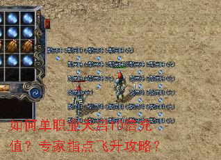 ��ε�ְҵ����10����ֵ��ר��ָ��������ԣ�