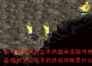 ������ο���������Ѫ�ϻ��洫�棿��������������ֵ��ռ�������ʲô��