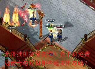 ���޹һ����ʵ�֣����ֻ���Ѱ洫����Ϸ����Щ��ʵ�ù��ԣ�