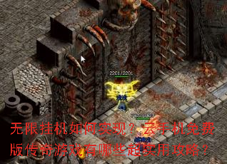 ���޹һ����ʵ�֣����ֻ���Ѱ洫����Ϸ����Щ��ʵ�ù��ԣ�