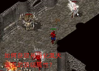 ��λ�ȡ��ǿ������ħ�µĶ������ԣ�