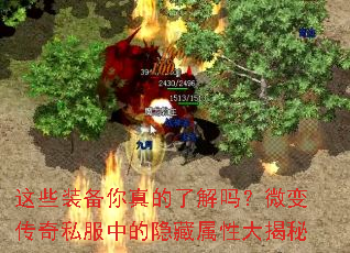 ��Щװ��������˽���΢�䴫��˽���е��������Դ����