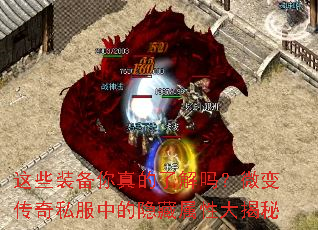 ��Щװ��������˽���΢�䴫��˽���е��������Դ����