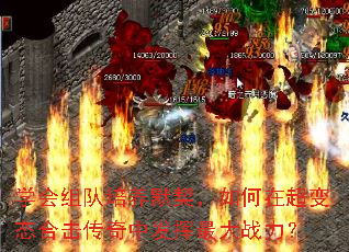 ѧ���������Ĭ��������ڳ���̬�ϻ������з������ս����