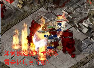如何快速提升传奇冰雪森林角色等级? 如何快速提升传奇冰雪森林角色等级?