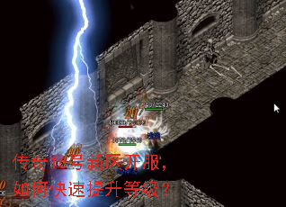 ����16��������������ο��������ȼ���