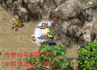 ����16��������������ο��������ȼ���