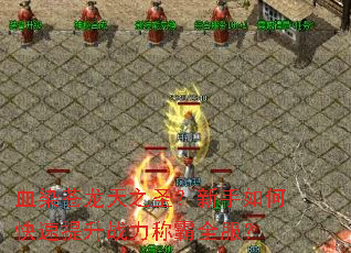 ѪȾ������֮ʥ��������ο�������ս���ư�ȫ����