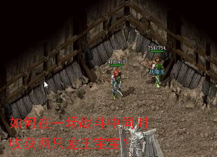 如何在一场战斗中同时收获两只龙王宝宝? 如何在一场战斗中同时收获两只龙王宝宝?