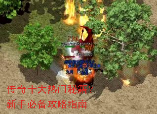 传奇十大热门秘籍?新手必备攻略指南 传奇十大热门秘籍?新手必备攻略指南