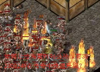 如何让沧海粟9196公孙绿萼302300249在传奇中快速升级? 如何让沧海粟9196公孙绿萼302300249在传奇中快速升级?