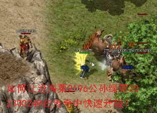 ����ò׺���9196��������302300249�ڴ����п���������