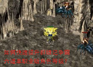 ��ο�������Ⱥ�ۼ�����������ְҵ���ɫ�ȼ���