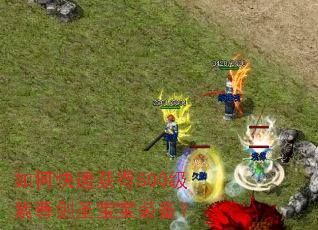 ��ο��ٻ��500������ʥ����װ����