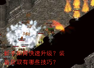 ������ο���������װ����ȡ����Щ���ɣ�