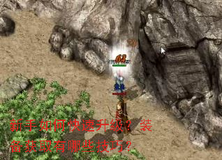 ������ο���������װ����ȡ����Щ���ɣ�