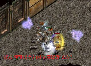 ��������12����ο�������ս����