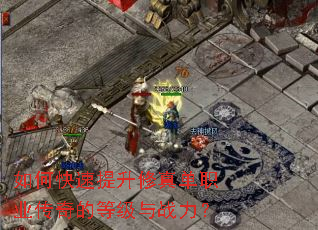 ��ο����������浥ְҵ����ĵȼ���ս����