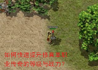 ��ο����������浥ְҵ����ĵȼ���ս����