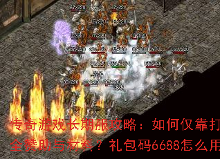 ������Ϸ���ڷ����ԣ���ν�����ּ���ȫ��������ϣ������6688��ô�ã�