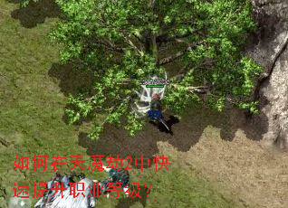 �������ħ��2�п�������ְҵ�ȼ���