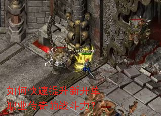 ��ο��������¿���ְҵ�����ս������