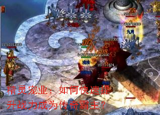 �����ҵ����ο�������ս����Ϊ���������