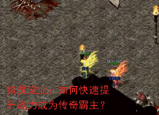 �����ҵ����ο�������ս����Ϊ���������