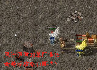 �������εĵ�ְҵ������Ϸ��������Щ��