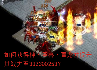 ��λ����ʥ�ޡ�������������ս����302300253��