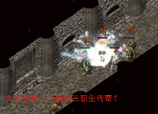 ��ο��������°���ְҵ���棿