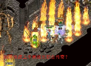 ��ο��������°���ְҵ���棿