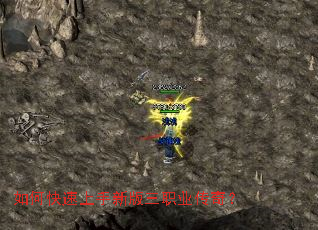 ��ο��������°���ְҵ���棿