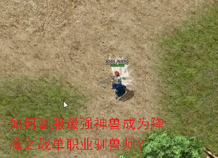 ���ѱ����ǿ���޳�Ϊ��ħ֮ս��ְҵѱ��ʦ��