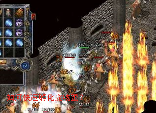 ��ο��ٷ������ﵰ��