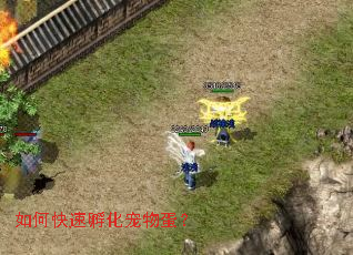 ��ο��ٷ������ﵰ��