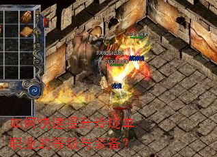 ��ο����������絥ְҵ�ĵȼ���װ����