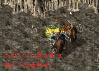 �����½������ο������ִ�����Ϸ��