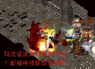 玛法征途如何快速升级?新服神技获取全攻略 玛法征途如何快速升级?新服神技获取全攻略