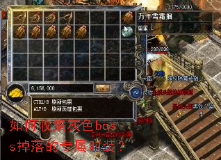 ����ռ���ɫboss�����ר��ʱװ��