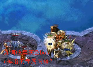 ����ռ���ɫboss�����ר��ʱװ��