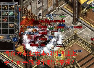 ������ְҵ�汾��ο������֣�����ѡ�ĸ�ְҵ��ǿ��