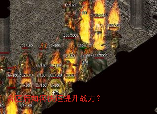 ��������ο�������ս����