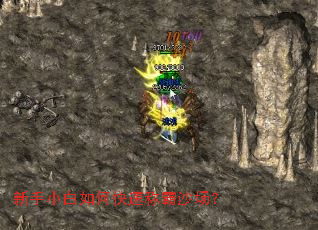 新手小白如何快速称霸沙场? 新手小白如何快速称霸沙场?