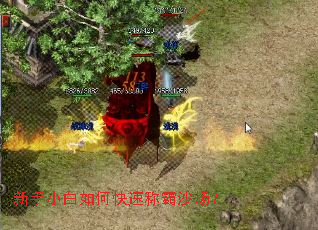 ����С����ο��ٳư�ɳ����