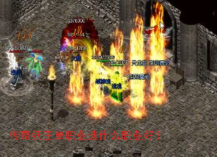 ����������ְҵѡʲôְҵ�ã�